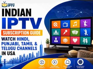 indian iptv subscription